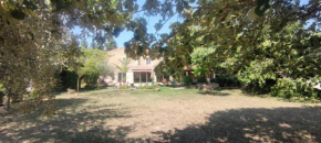 Domaine de la violette